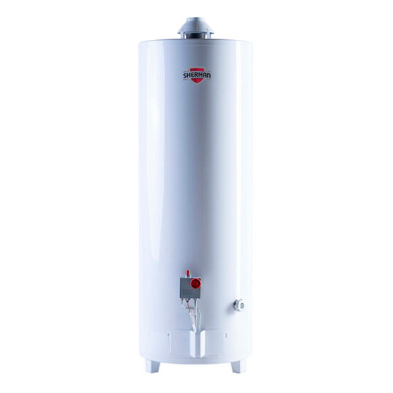 Termotanque multigas Sherman 120 Lts de Pie blanco
